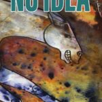 NO IDEA (Paperback)
