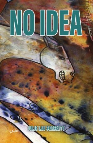 NO IDEA (Paperback)