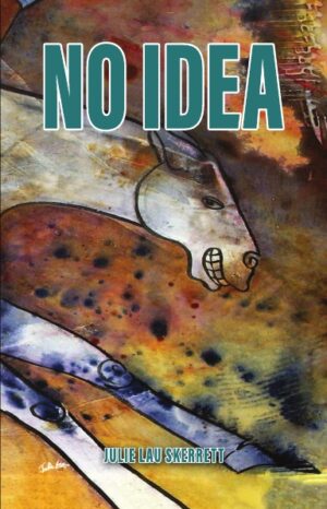 NO IDEA (Hardcover)